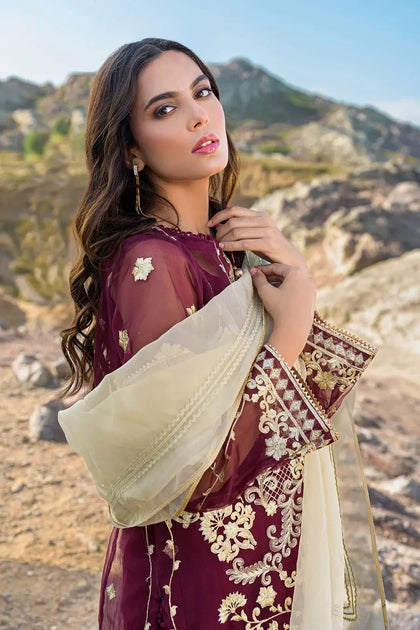 eid ul fitr 2025 dress design Eid-ul-Adha 2025 This beautiful dress from @tanzeelahussainkhan Earings from @bylalueur : @molinebymm : @shamsiisaqib