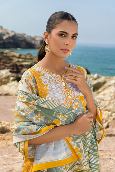 Lawn Fever 2025: Exploring Pakistan’s Passion for Summer Fashion